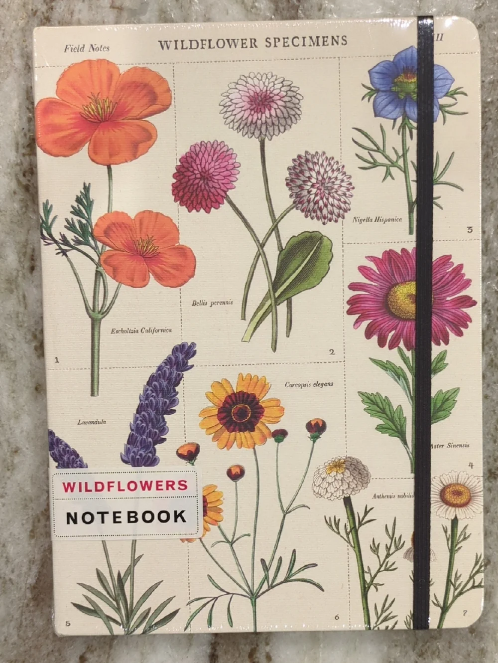 Barnes & Noble Floral Notebook – Pink and Green Botanical Cover